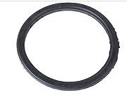Pelgrim Afdichtingsring O-ring van Sproeiarm  790038