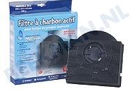 484000008581 Whirlpool / Filter / Koolstoffilter 205x215x43/Model 303 A