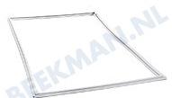 480131100101 Philips/Whirpool Afdichtingsrubber 1125x520mm -wit-