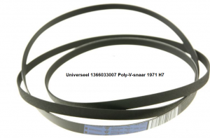 Universeel 1366033007 Poly-V-snaar 1971 H7 verkrijgbaar bij ANKA