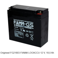 Origineel FG21803 FIAMM LOODACCU 12 V, 18,0 Ah